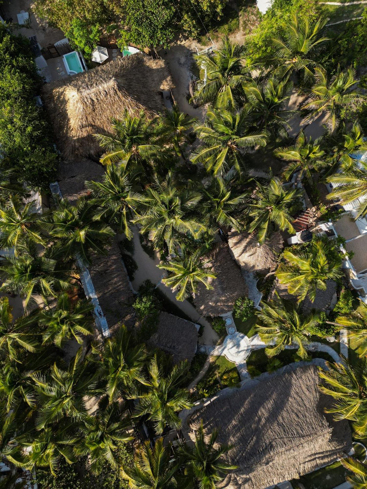 Cano de Loro Vista Mare Beach House מראה חיצוני תמונה
